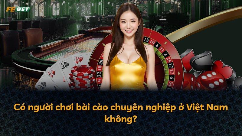 Có người chơi bài cào chuyên nghiệp ở Việt Nam không?