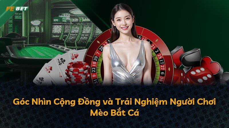 Góc Nhìn Cộng Đồng và Trải Nghiệm Người Chơi Mèo Bắt Cá