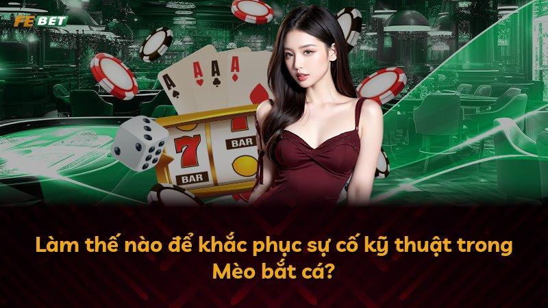 Làm thế nào để khắc phục sự cố kỹ thuật trong Mèo bắt cá?