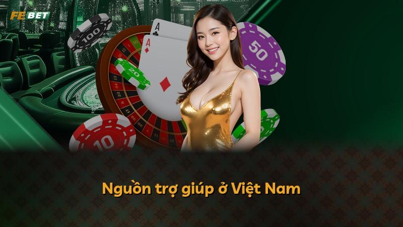 Nguồn trợ giúp ở Việt Nam