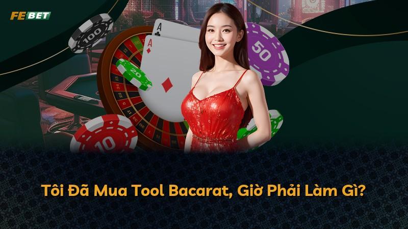 Tôi Đã Mua Tool Bacarat, Giờ Phải Làm Gì?