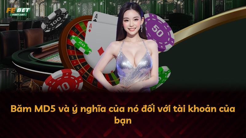 Băm MD5 và ý nghĩa của nó đối với tài khoản của bạn