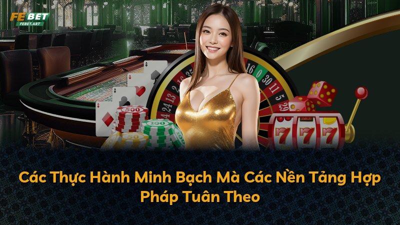 Các Thực Hành Minh Bạch Mà Các Nền Tảng Hợp Pháp Tuân Theo