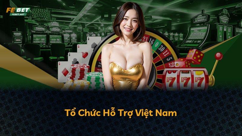 Tổ Chức Hỗ Trợ Việt Nam